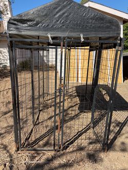4x8  dog kennel $40 firm