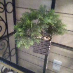 Bonsai Plant Artificial Medium Size