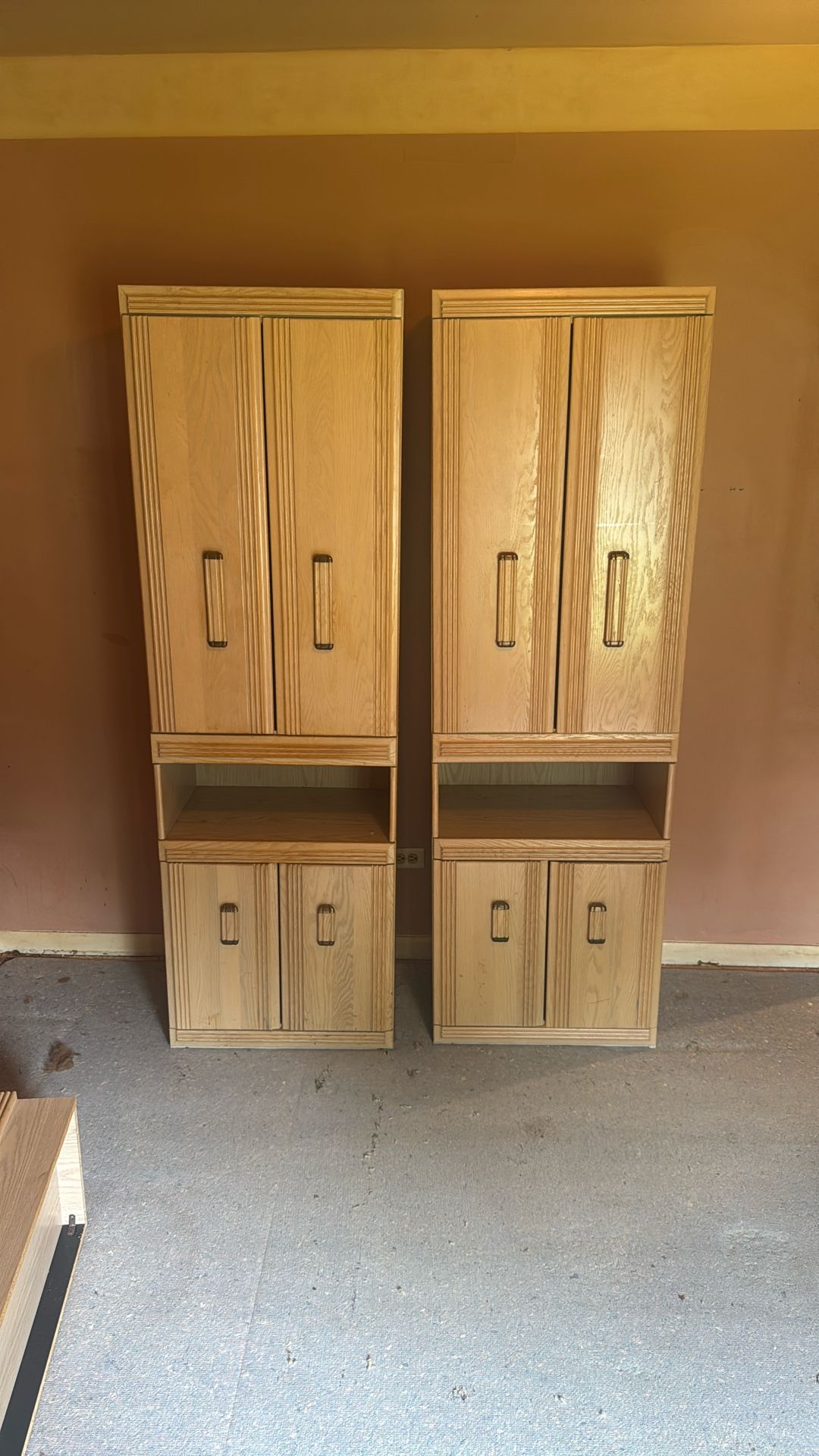 Storage Cabinets or Bookshelves 