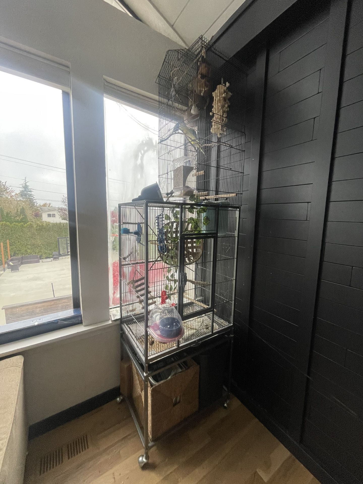 Large Bird Cage And All Accessories