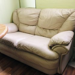 Sofa and Loveseat 