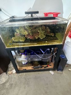 Frag tank