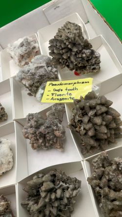 Rock Collection Mineral Specimen 