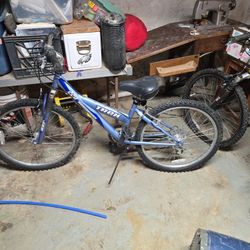 2015  Trek Mt 220