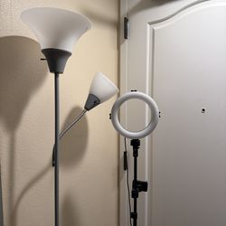 Lamp and ring light