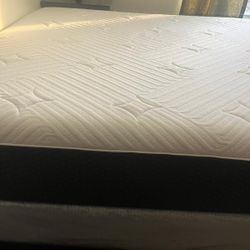 Queen Mattres And Box And Frame 