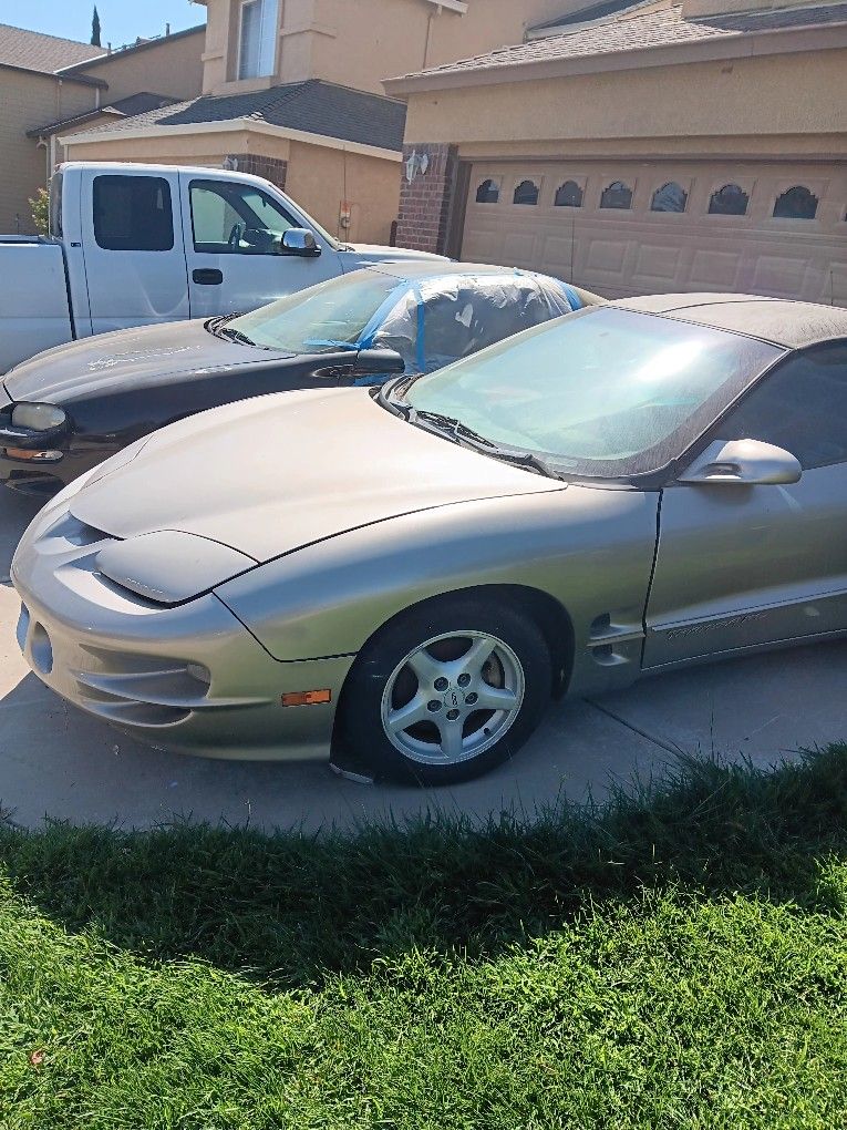 Free 1999 Trans Am Hood Oem