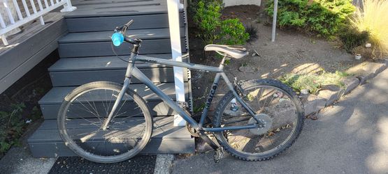 2010 Norco Scene