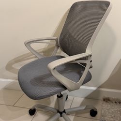Ergonomic Office Chair