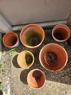 6 Terrecotta Planter pots.