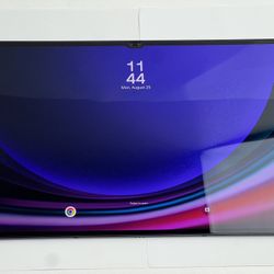Samsung Galaxy Tab S9 Ultra 256GB Black (Wi-Fi) SM-X910 Like New W/ 1.5 Terabyte SD Card