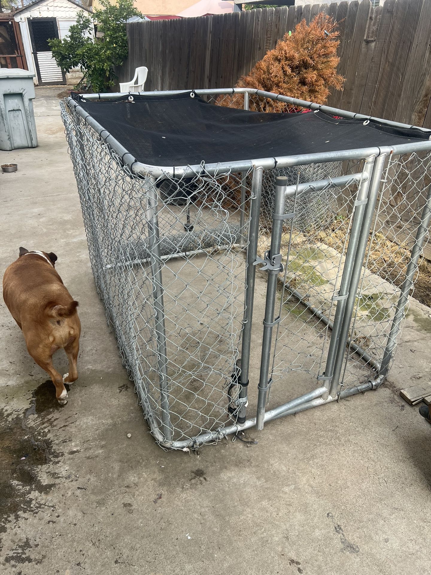 Dog Kennel Large