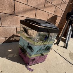 Hex 20 LED fish tank