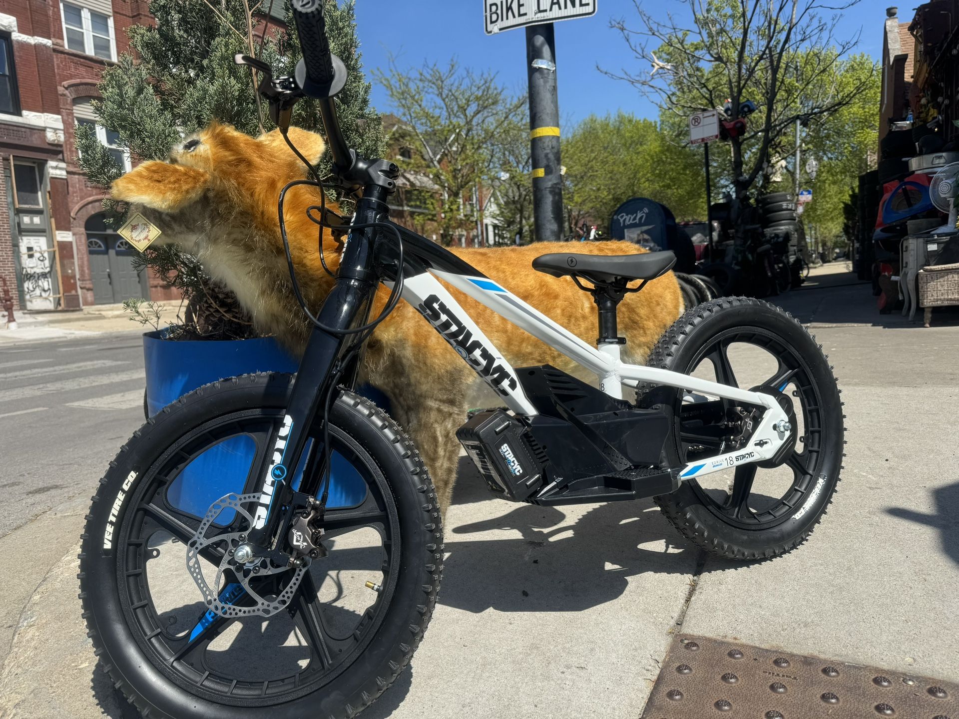 StacyC E-bike Bike Ebike 18”