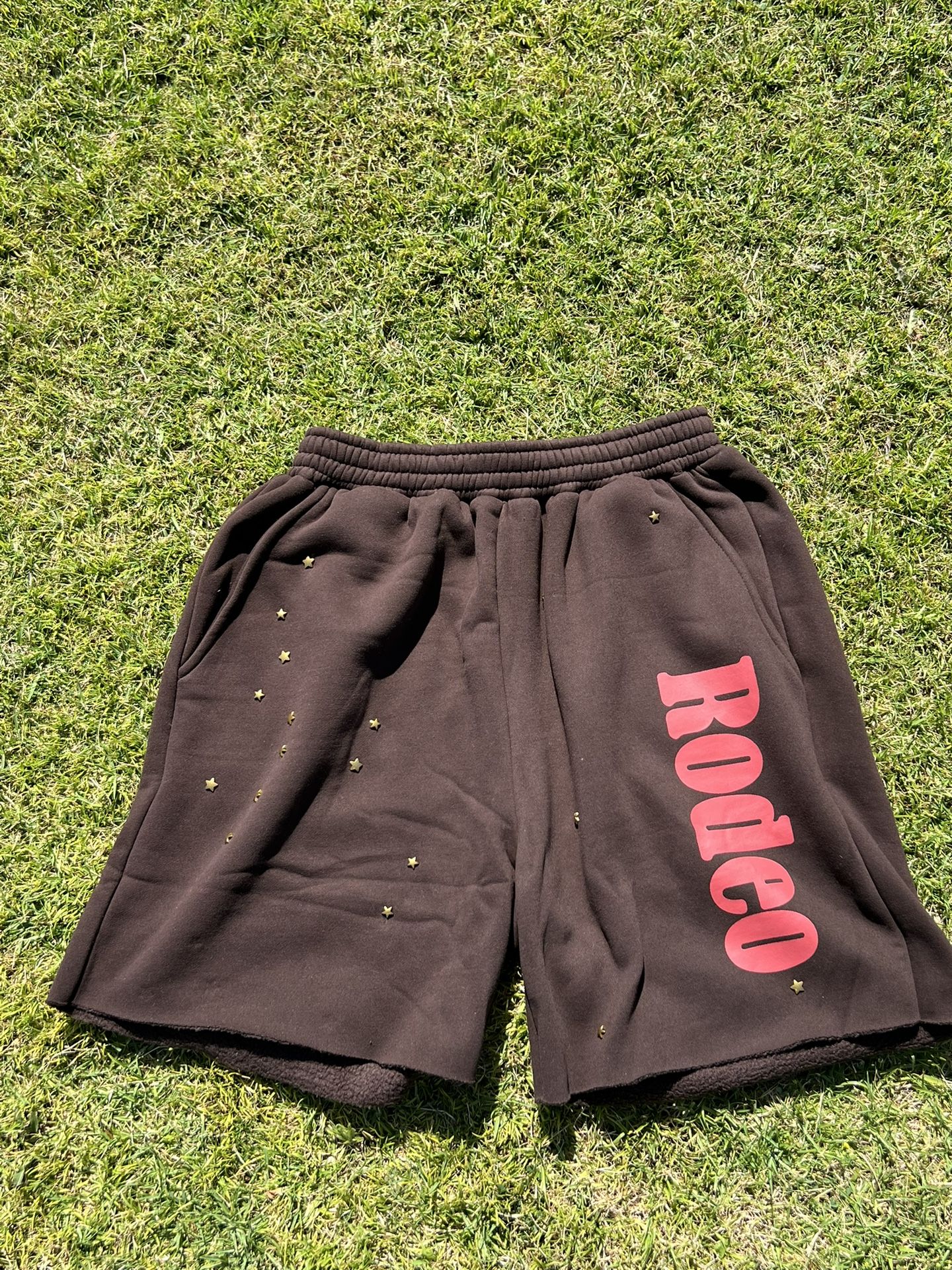 Travis Scoot X Sp5der Shorts 