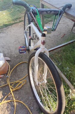 Throne 29er