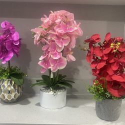 Plantas Artificiales 