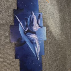5 Piece Dolphin Canvas 