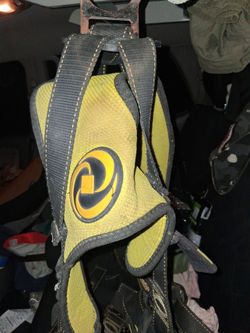 Guardian safty strap