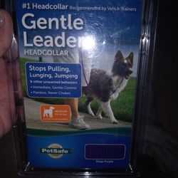 NEW in BOX -  Dog Leader