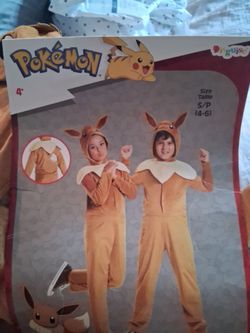 pokemon costume