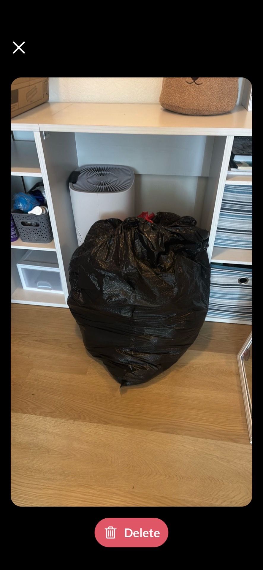 Size 7/8 girls clothes