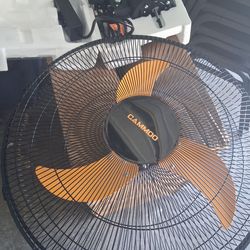 Wall mount fan