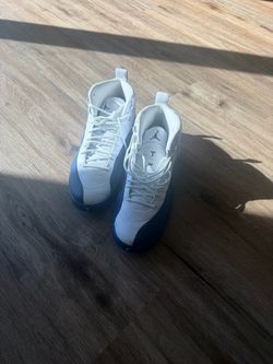Jordan 12