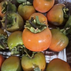 Hachiya Fresh And Organic Persimons $1 Each Piece Ideal For Make Smoothies, Bead , Dryiing Of Cookies 