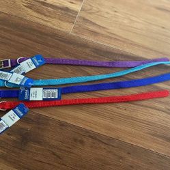 Small Dog Collars