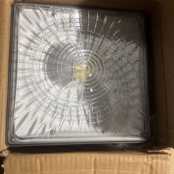LED canopy Lights