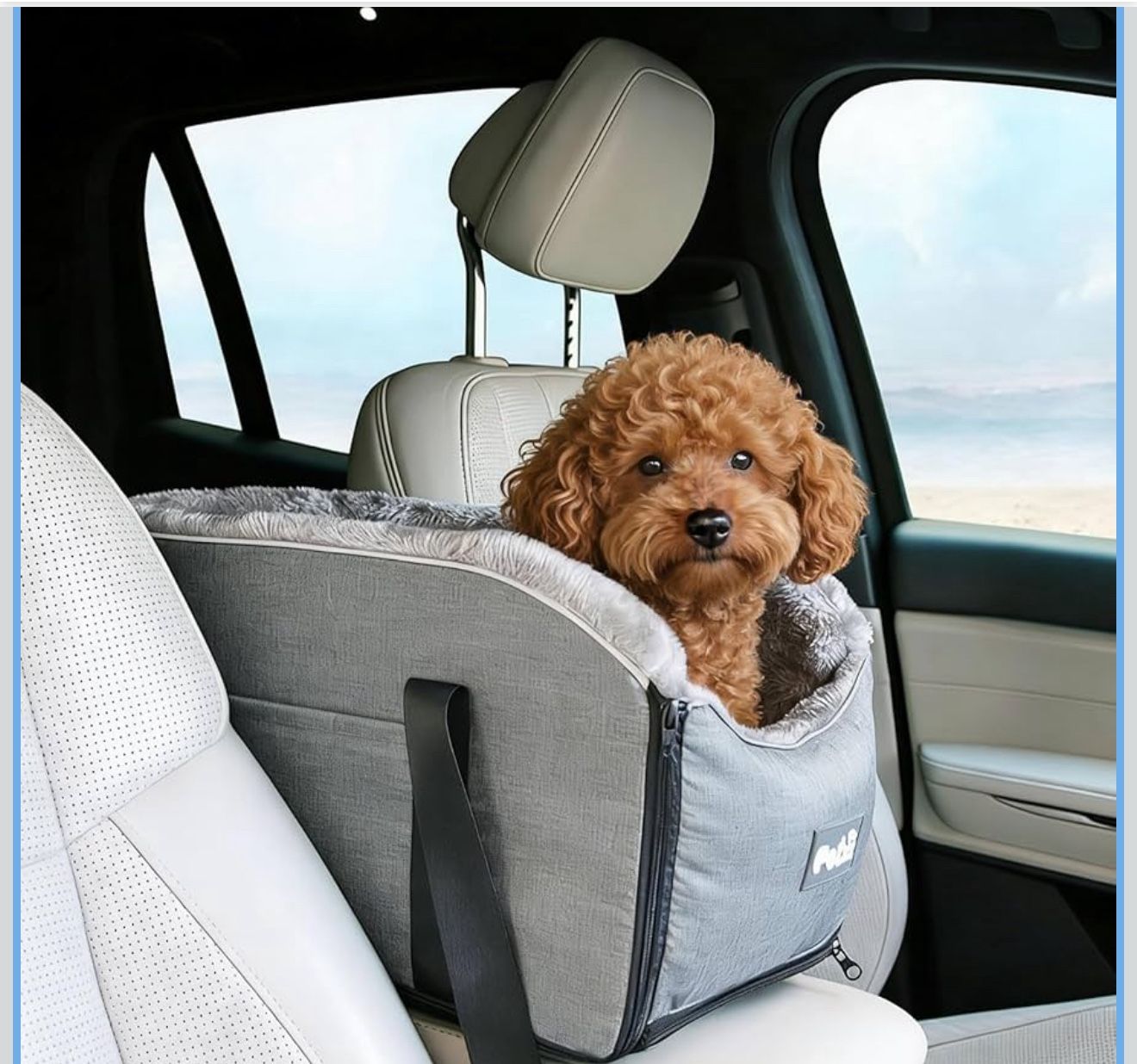 Elevated Dog Car Seat for SUV & Sedan -
