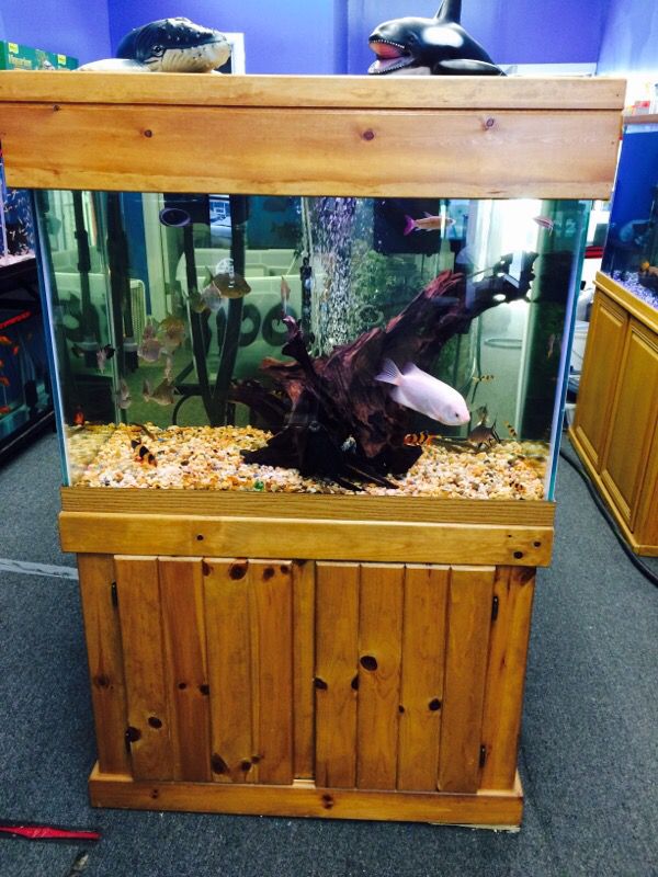 Lots of fish tanks aquariums starting at $5
