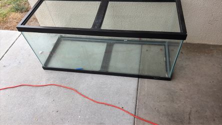 75 gallon aquarium