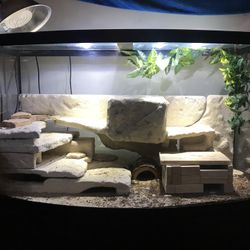 Fish Tank / Aquarium / Terrarium