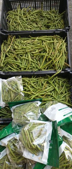 Organic green beans 4x28LB