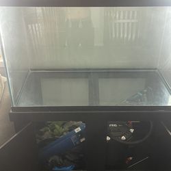 200 Gallon Fish Tank Aquarium