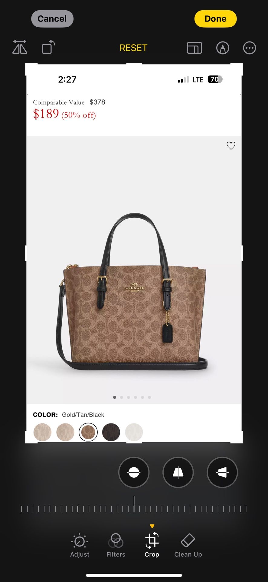 Mollie Tote Bag 25 In Signature Canvas