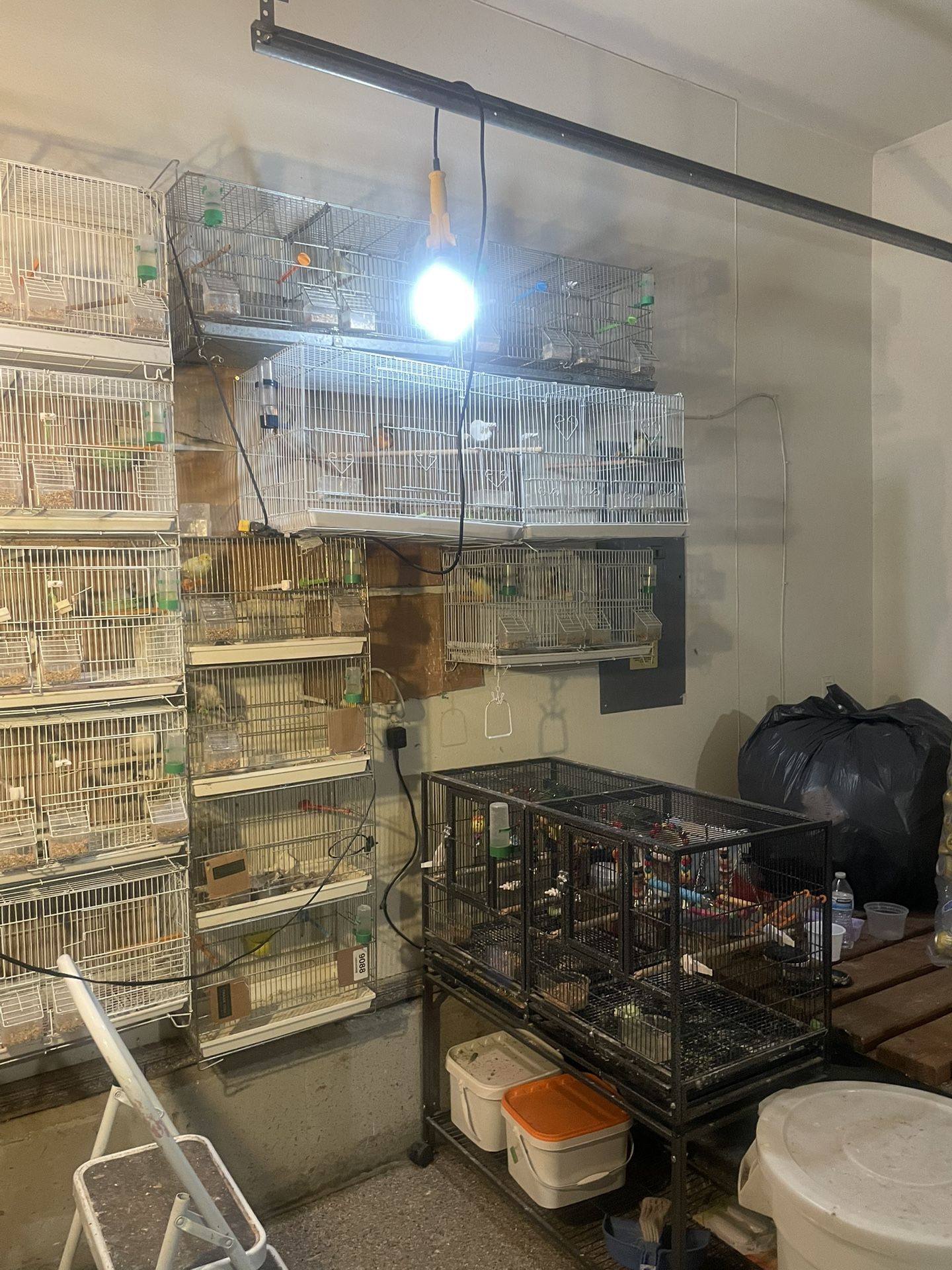 Bring Cages For Sales 