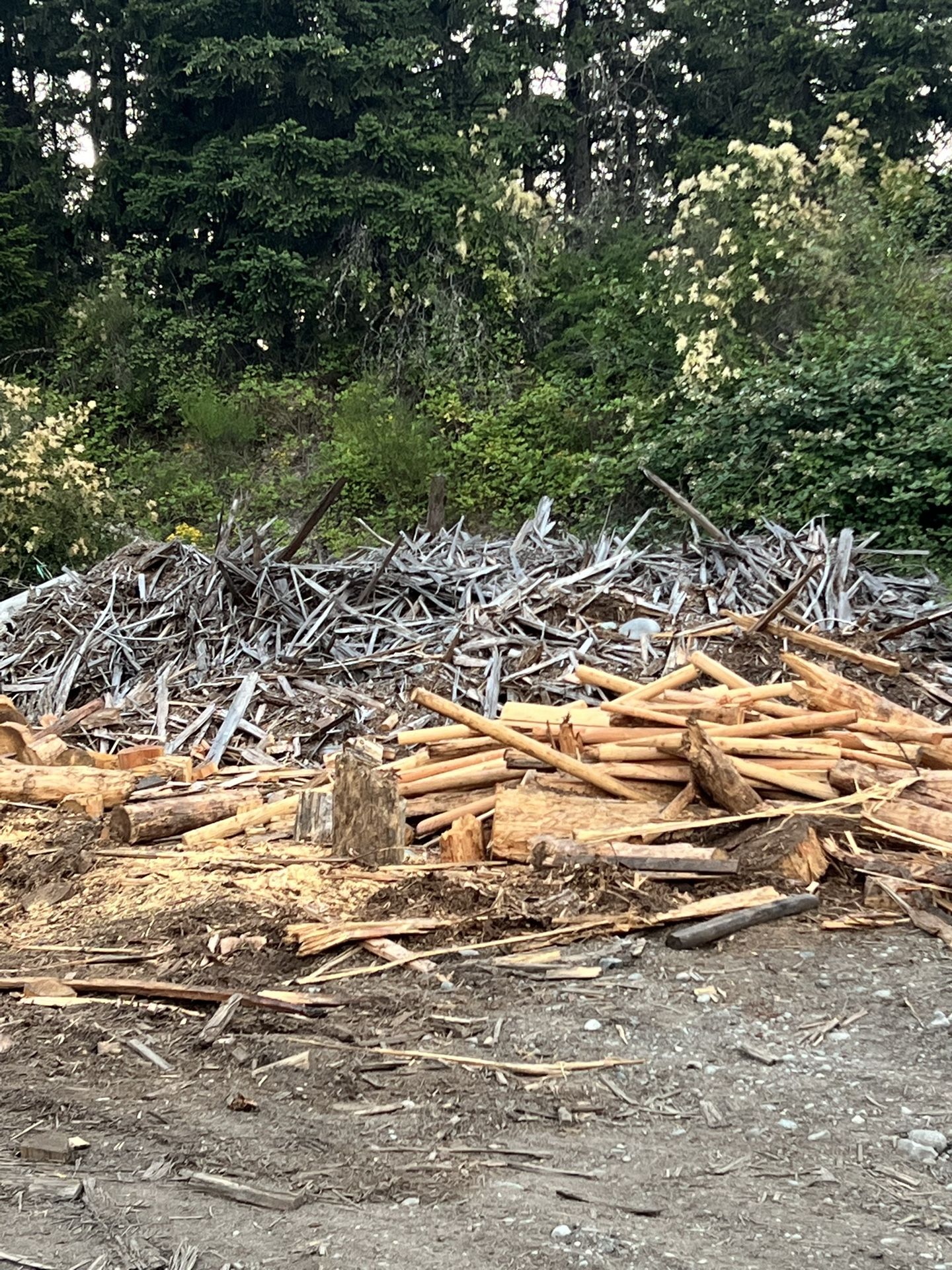Firewood
