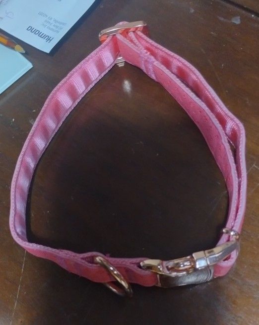 Pink And Gray Dog Leash And Pink Collar