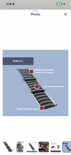 TRIXIE 69-in Heavy Duty Telescoping Dog Ramp, Silver/Black