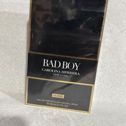 Bad Boy 