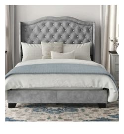 Carlie Tufted Upholstered Low Profile Standard Bed