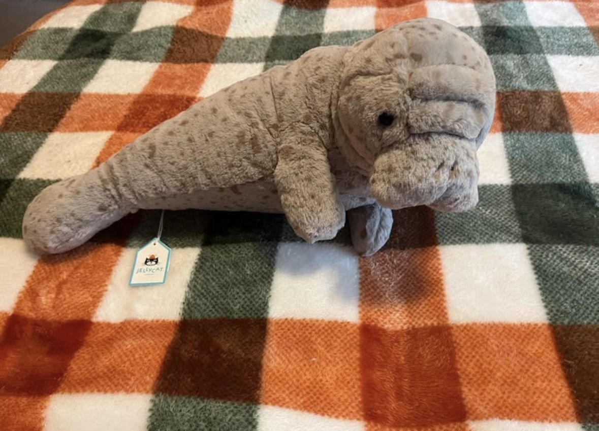 Magnus Manatee Jelly cat