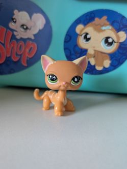 Littlest Pet Shop Shorthair Cat