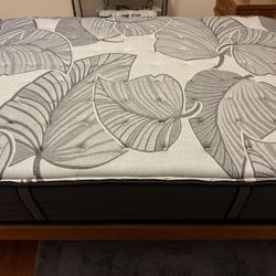 Mattress and Box Spring