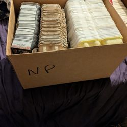 Lots and Lots of Egg Cartons 