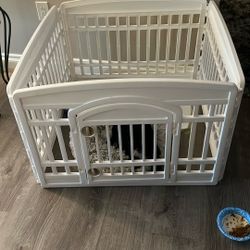 Dog  Play Area