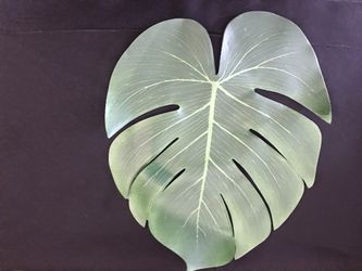 Tropical party decorations **